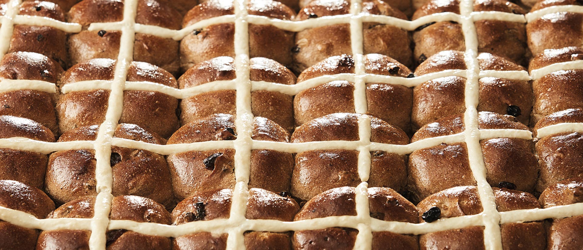 Bakers Delight Hot Cross Buns Real buns. Real ingredients. Real bakers