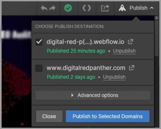 webflow publishing options