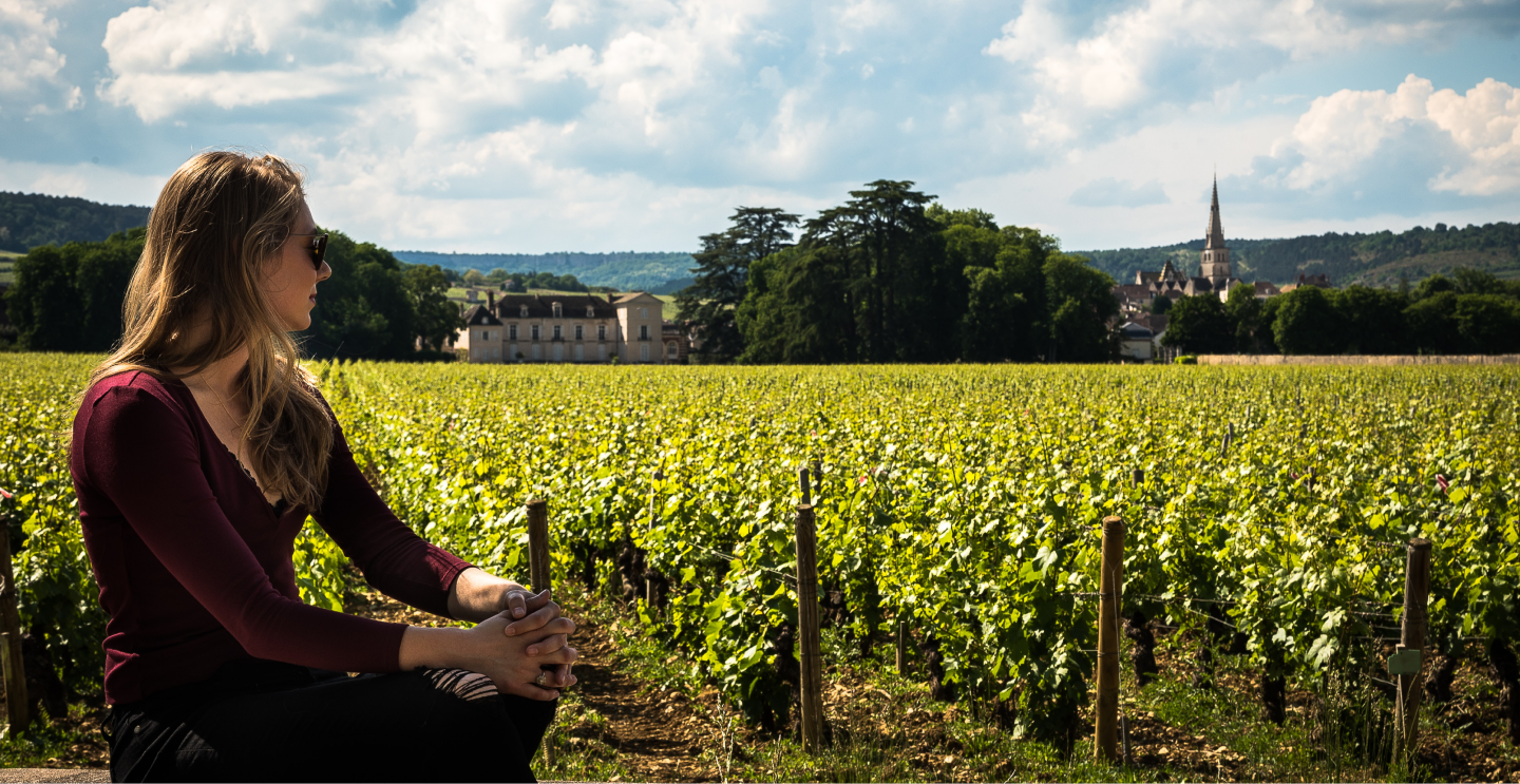 How to Buy a Vineyard A Complete Guide (and a Reality Check!)