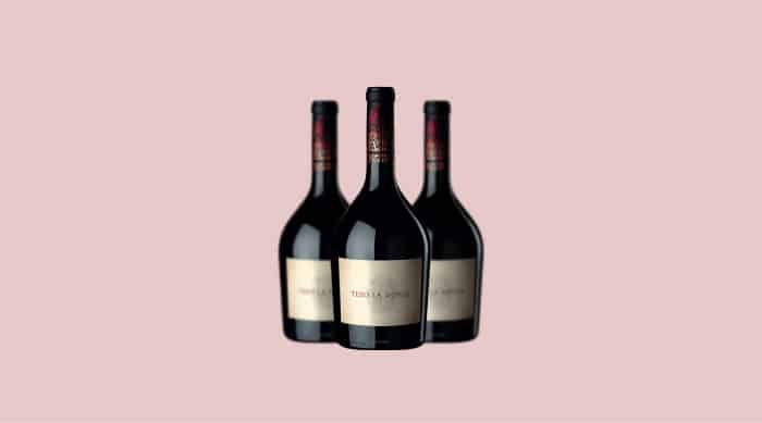 red wine brands: 2010 Teso La Monja