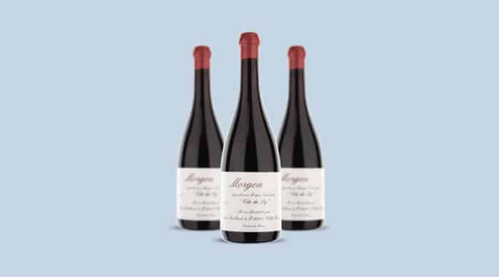 French red wine: 2016 Domaine Jean Foillard Morgon Cote Du Py, Beaujolais