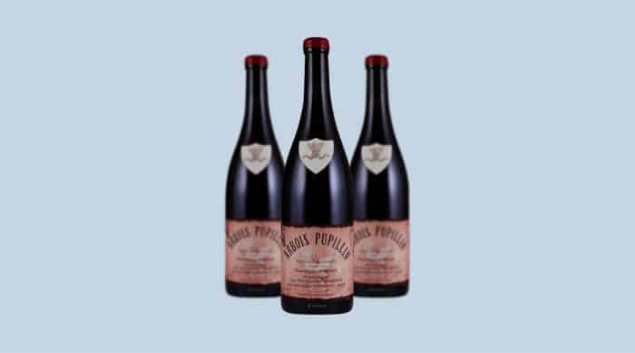 French red wine: 2015 Emmanuel Houillon - Pierre Overnoy Arbois - Pupillin Poulsard, Jura