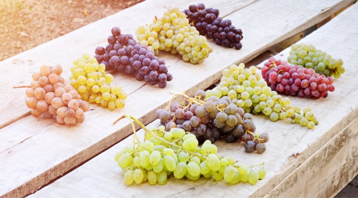 Red Wine vs White Wine: How Are They Made?