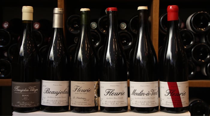Red wine vs white wine: Gamay