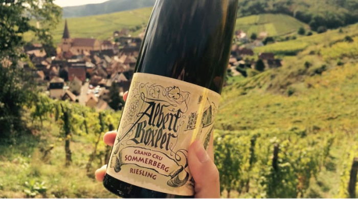 Red wine vs white wine: Pinot Gris