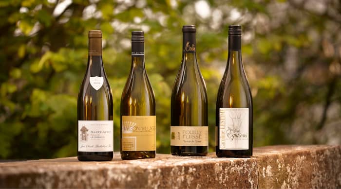 All About White Burgundy Wine