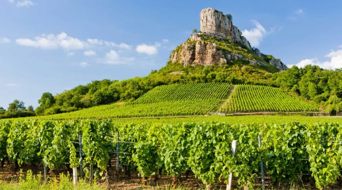 White Burgundy wine: Mâconnais