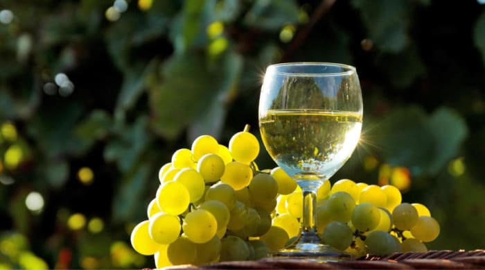 What Is Chardonnay?