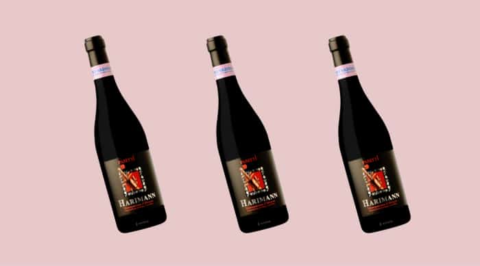 Montepulciano d'Abruzzo wine: Pasetti Harimann 2009