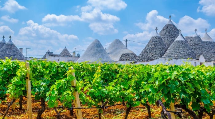 Montepulciano d'Abruzzo wine: Puglia