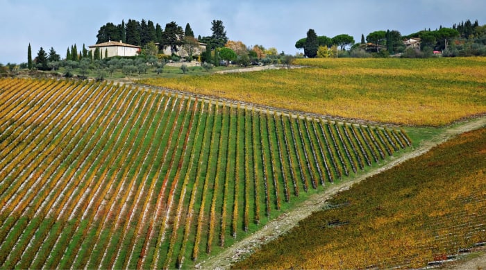The Tenuta Tignanello Estate
