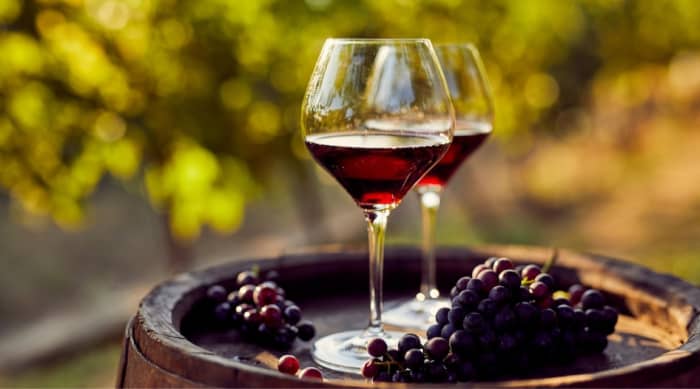 Antinori Tignanello Wine Grapes and their Flavors