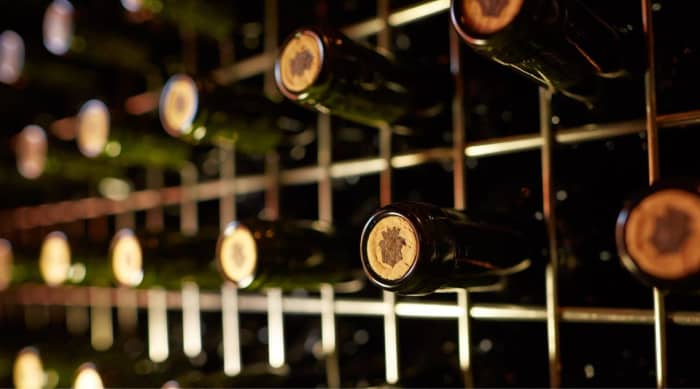 Some Interesting Facts about Vega Sicilia