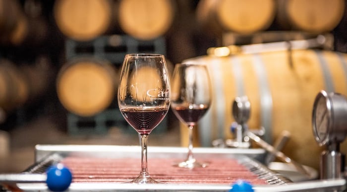 The Taste of Barbera Wine