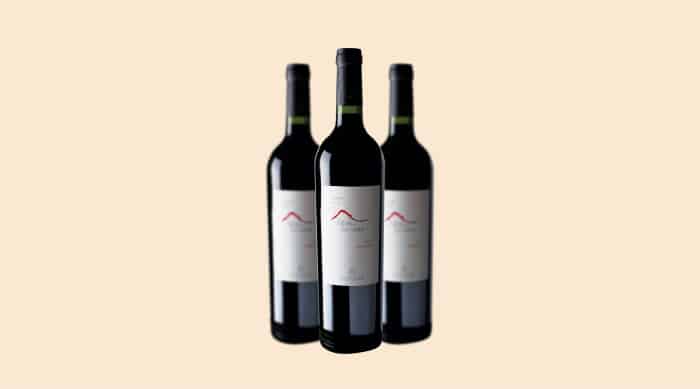 Bodega Herrero Cerezo Altos de San Isidro Reserva Barbera, Cafayate, Argentina