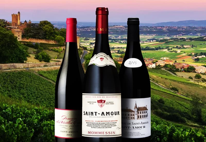 Beaujolais (Wine Styles, Best Wines, Prices 2021)