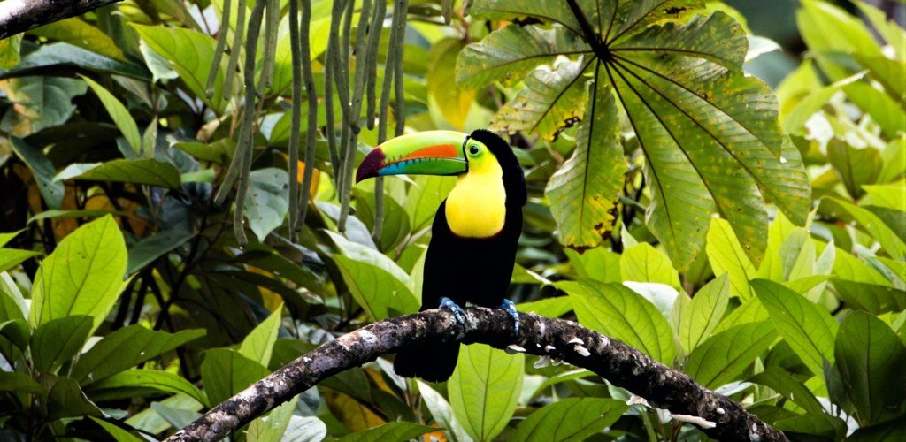 COSTA RICA
