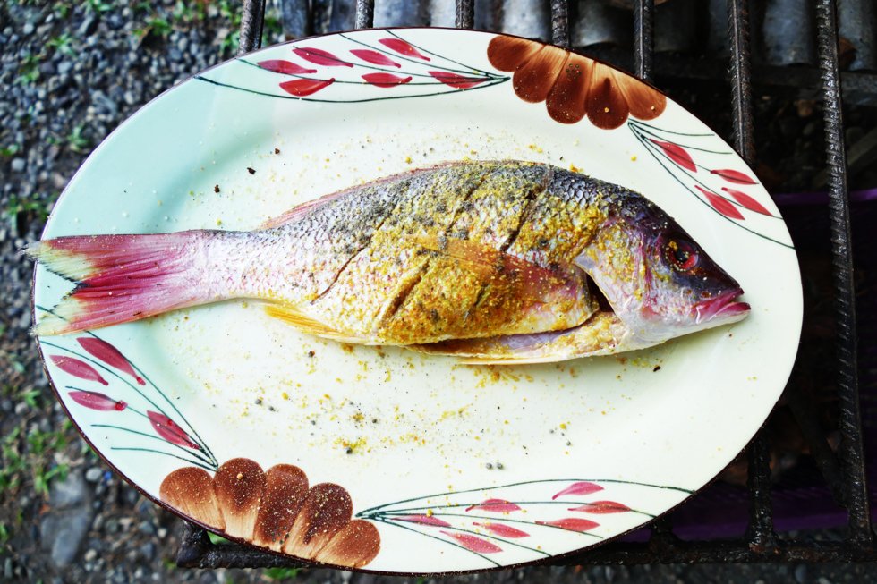 Det bugner av nyfangede råvarer, og aller best smaker det med nygrillet på en strandbar med sand mellom tærne.