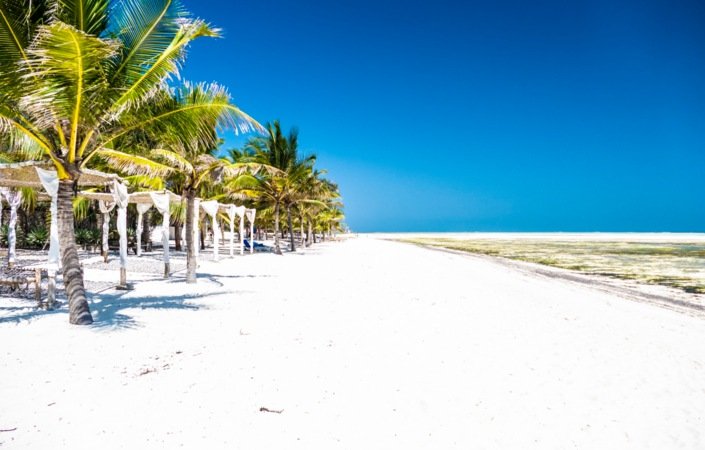 Ved Watamu Bach trekker lavvannet seg til utenfor revet og lagunen blir et populært sted å jakte skjell og krepsdyr.