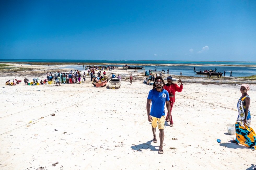 Mayungu Public Beach, 5 minutter unna Flamingo Villas, forvandles til et yrende fiskemarked om formiddagen.