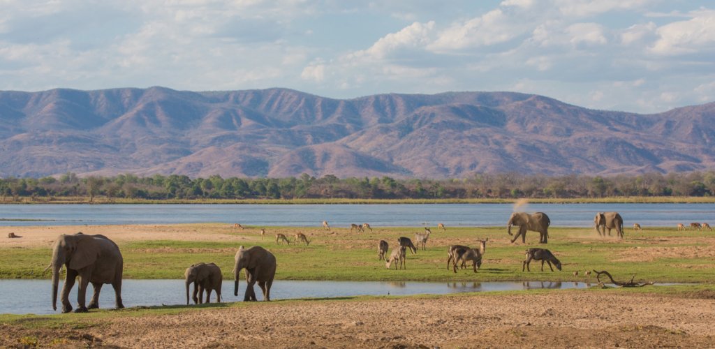 MANA POOLS