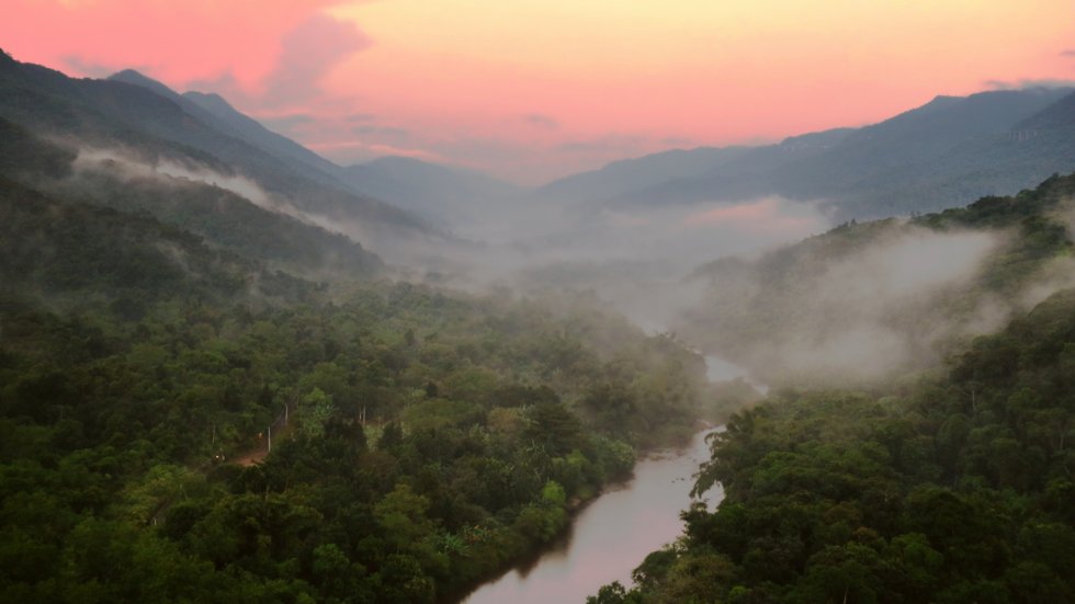 Toget tar deg gjennom The Atlantic Rainforest i Serra do Mar.
