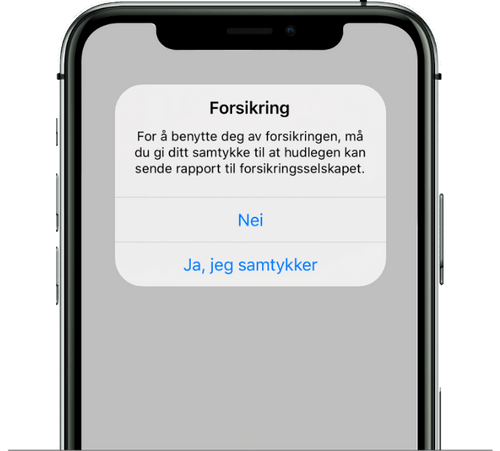 Forsikring årsprøvekjennemerke
