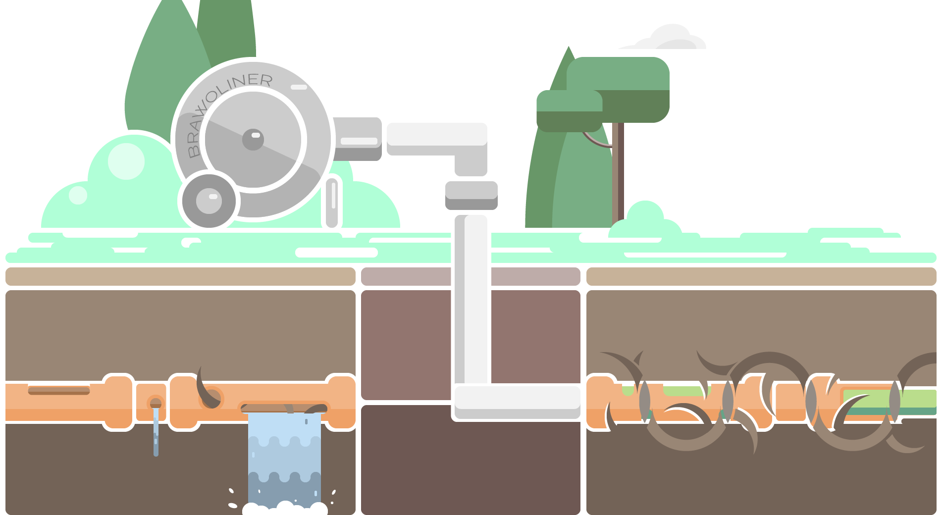 The Brawoliner System