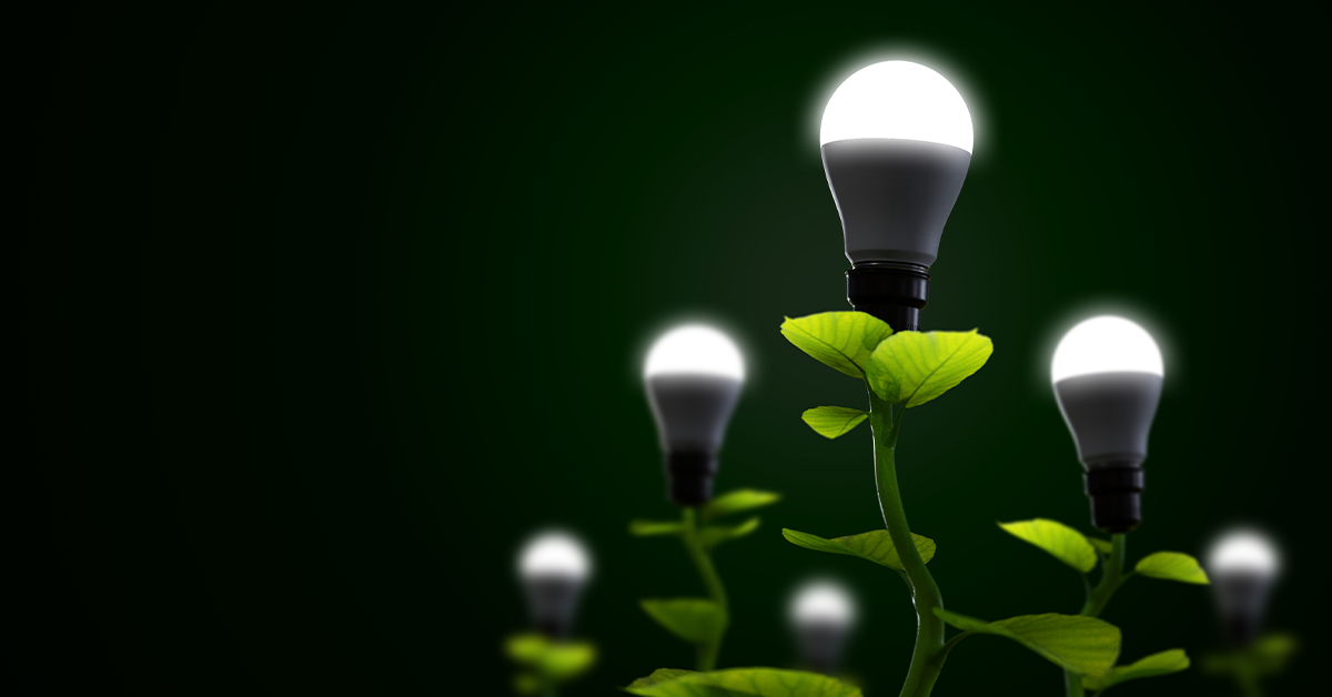 Led Lights Are They Recyclable