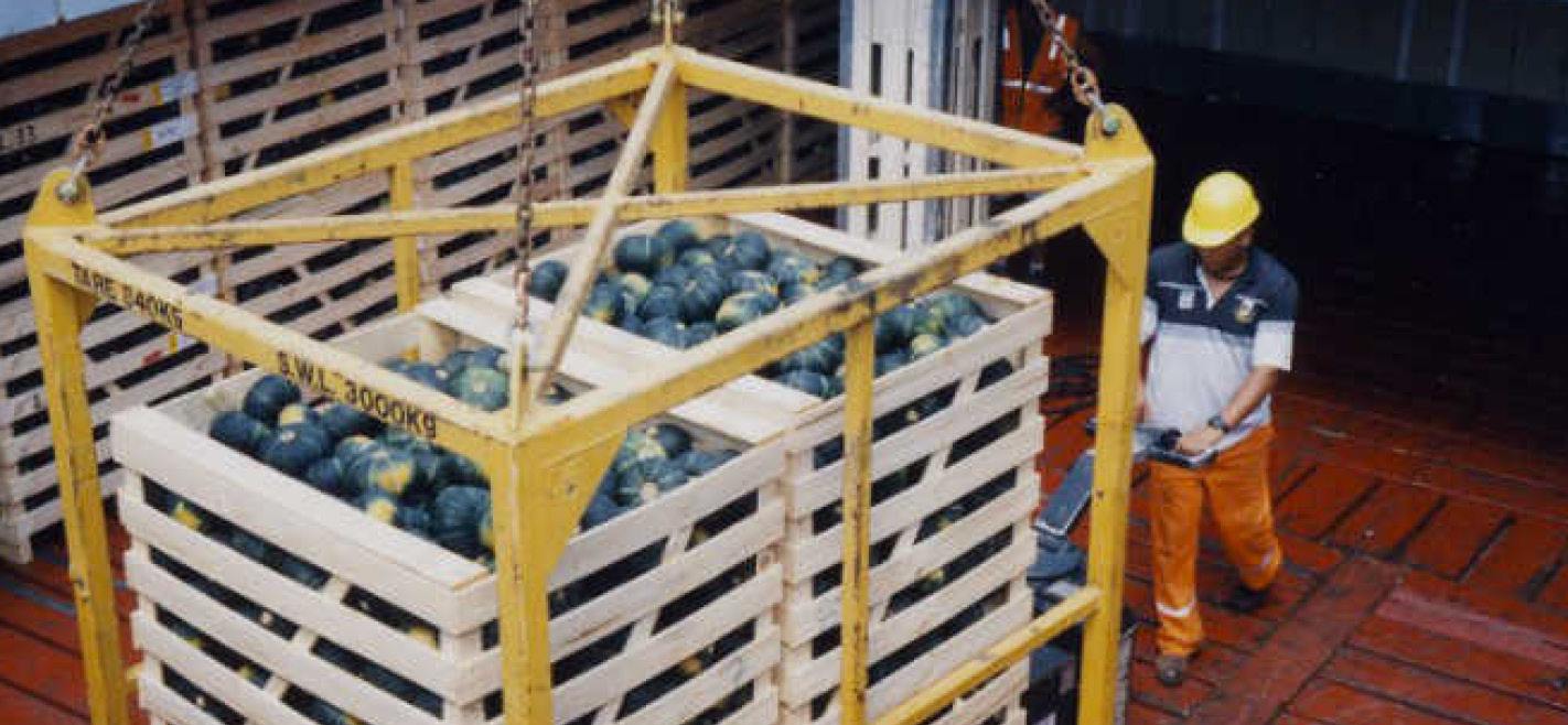 New Zealand Kabocha Squash Three Good Men