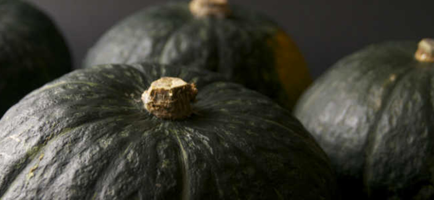 New Zealand Kabocha Squash Three Good Men