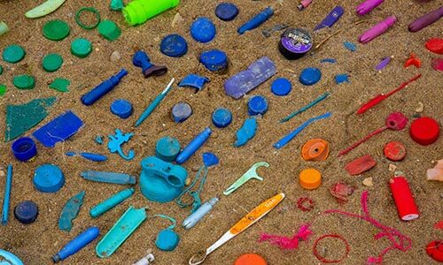 Plastic Free