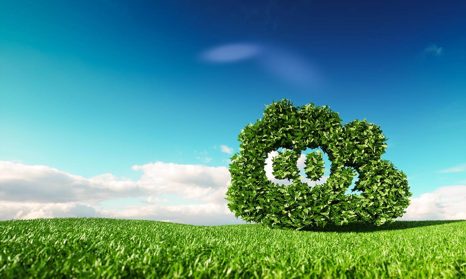 Low Carbon Scene