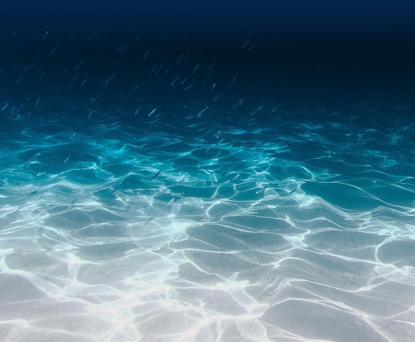 Ocean Floor