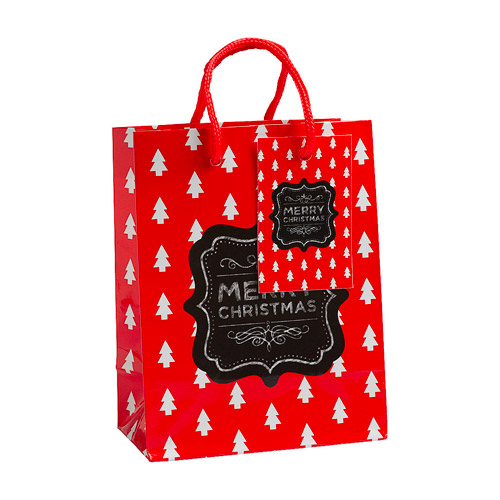 The Reject Shop - Gift Bag Small
