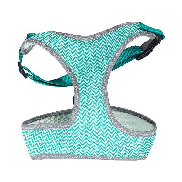 The Reject Shop - Collars & Harnesses