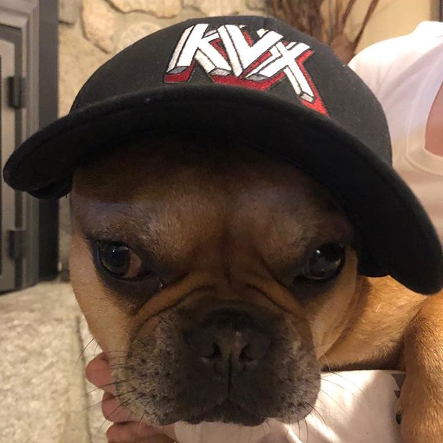 Our newest hire, welcome to the KVX team.