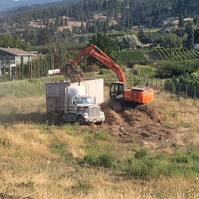 Loading old apple orchards into truck.