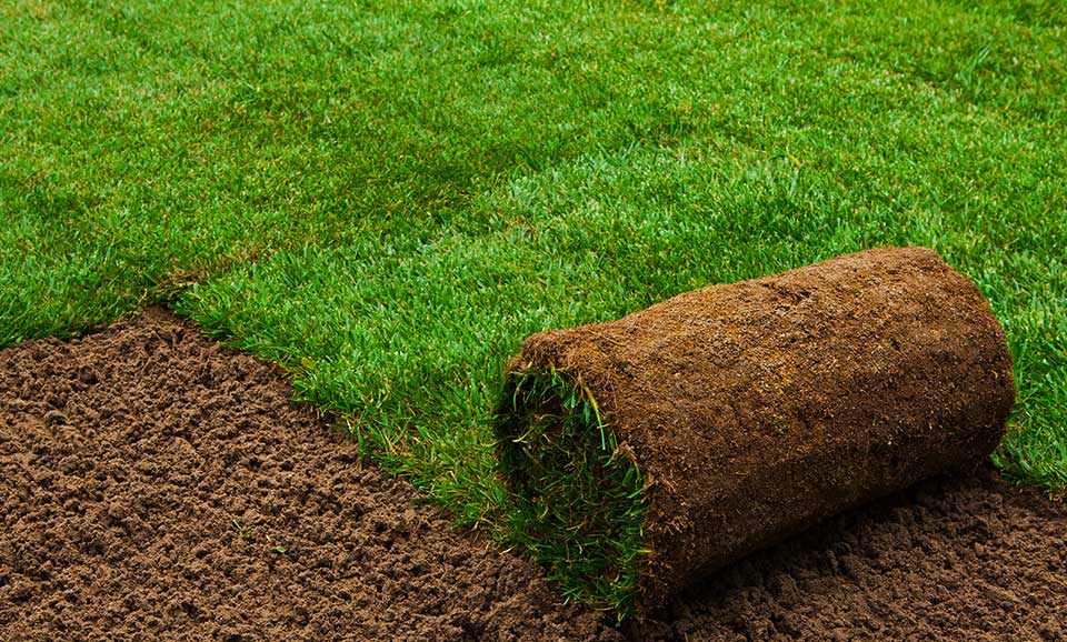 Turn being unrolled