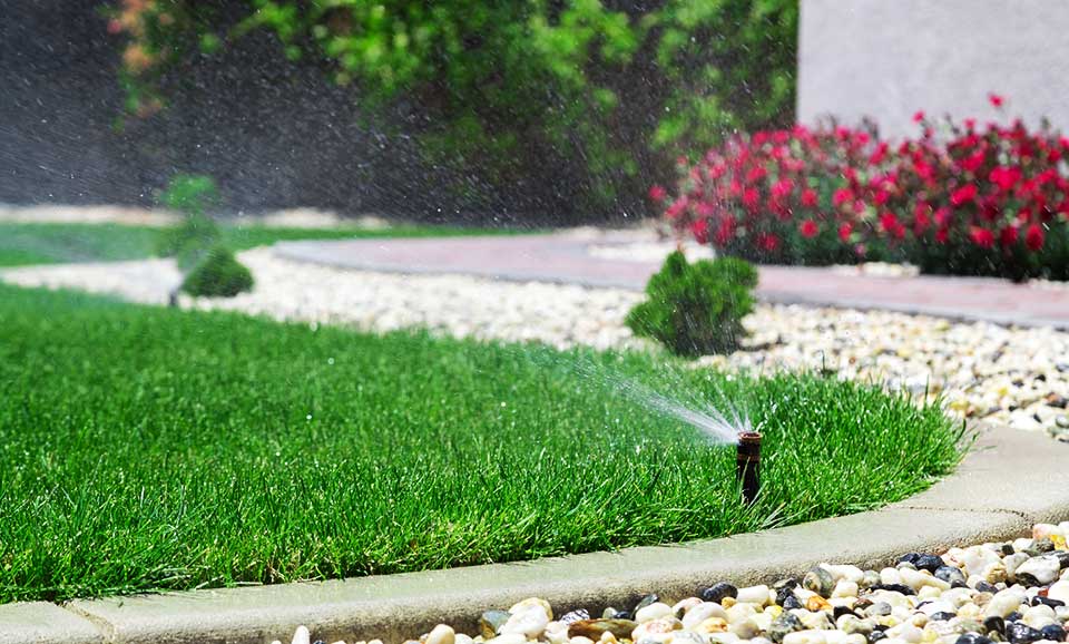 Photograph of a sprinkler popping out of the ground watering the lawn