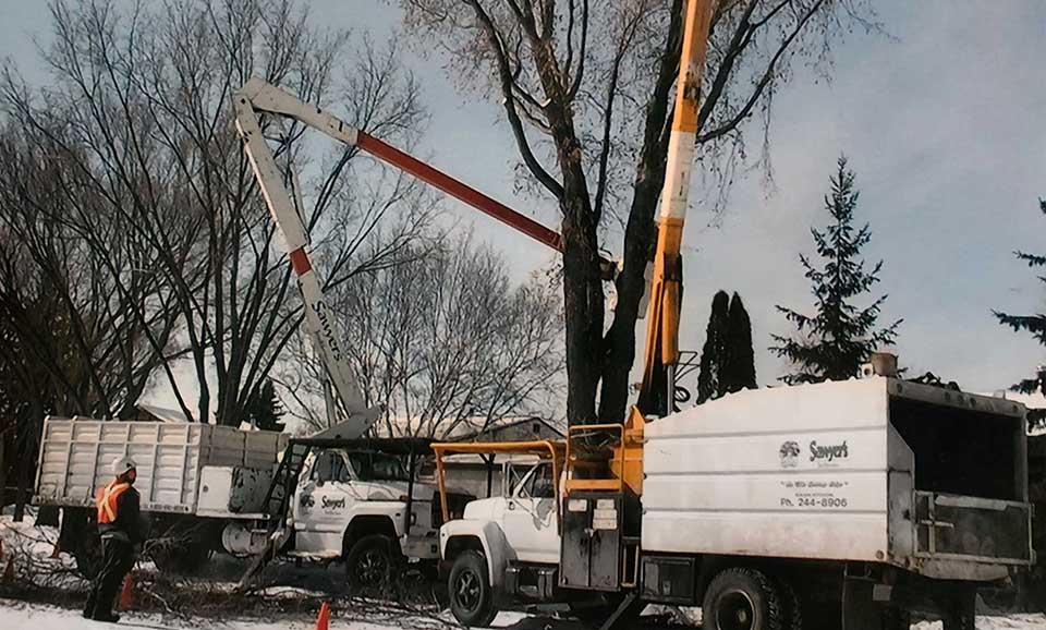 Sawyer's Tree Services truck