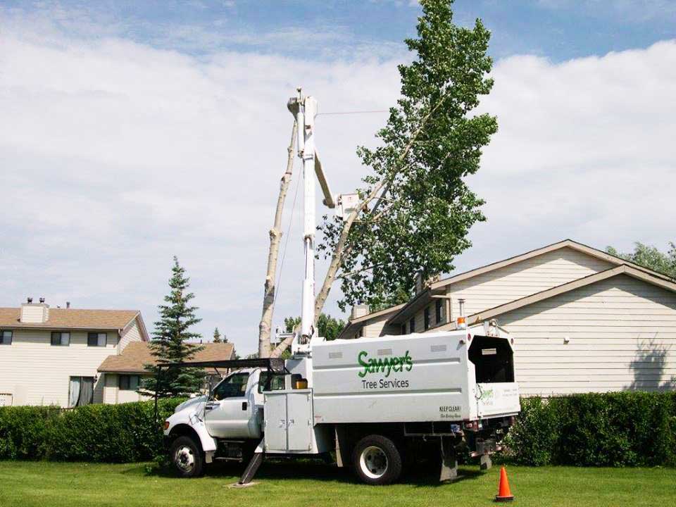 Sawyer's Tree Services truck