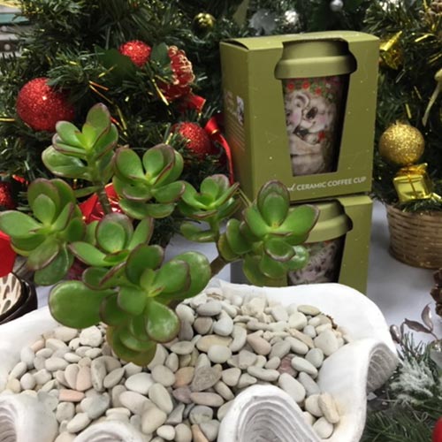 Noosa Village News - Christmas Stock