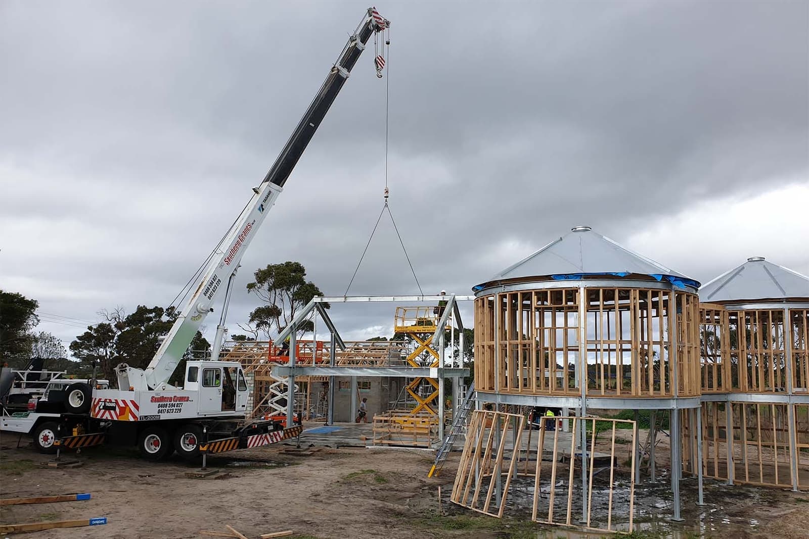 Projects Southern Cranes