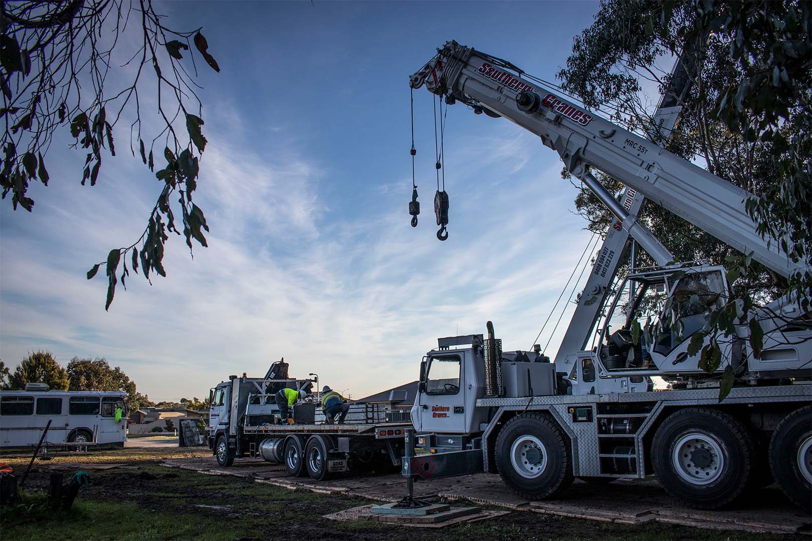 Projects Southern Cranes