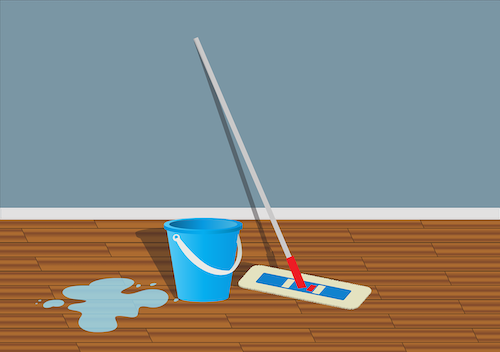 mop with bucket of clean water on hardwood floor