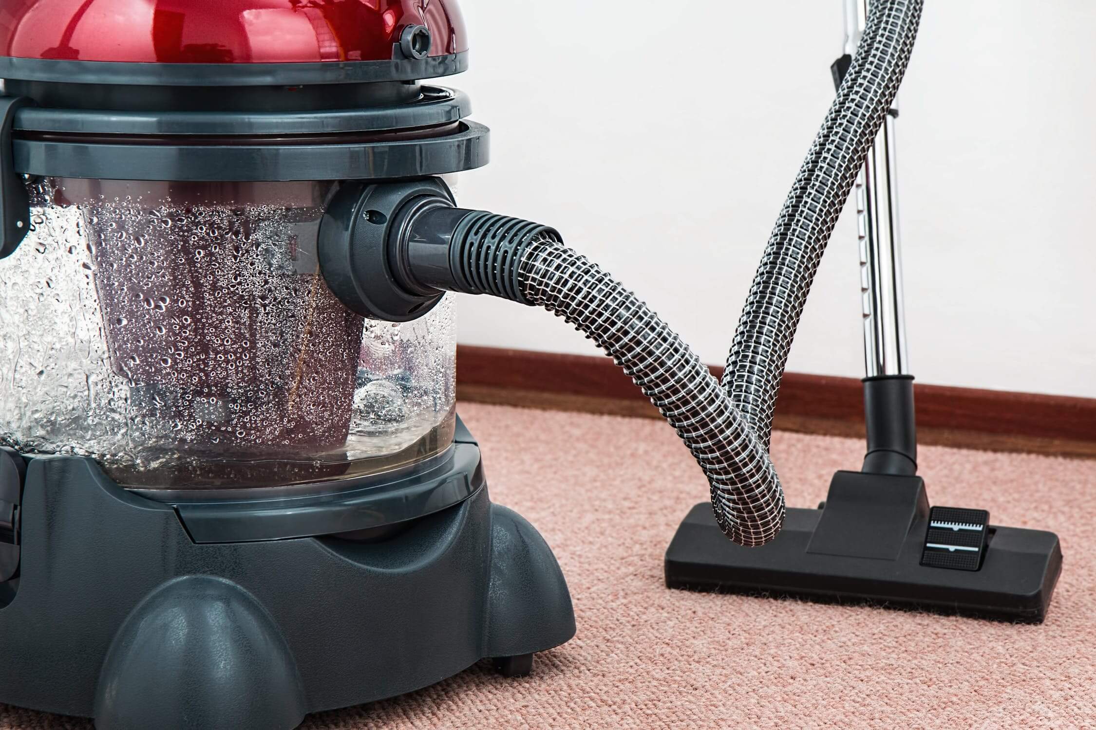 canister vacuum type