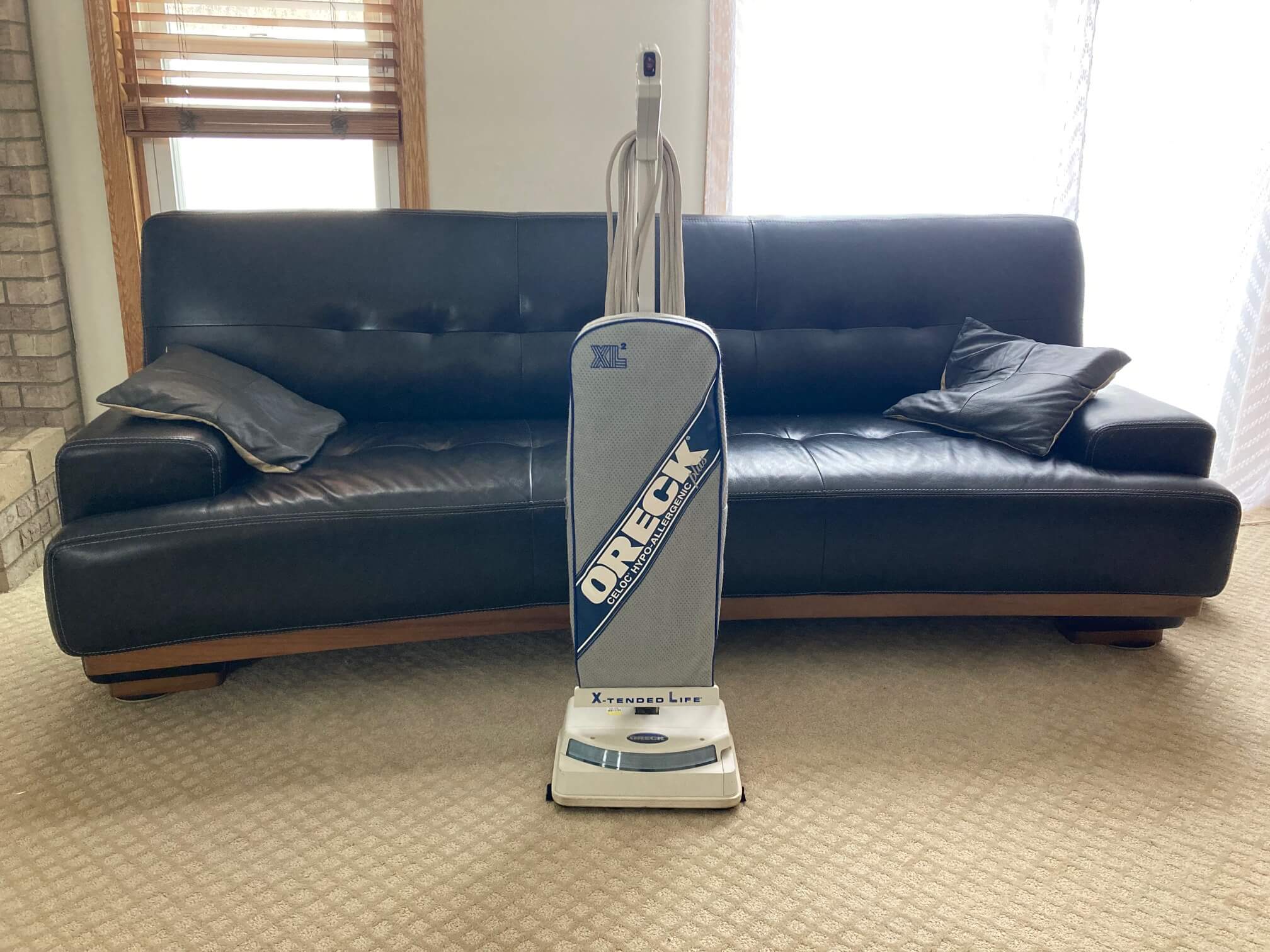 vacuum cleaner with a bag