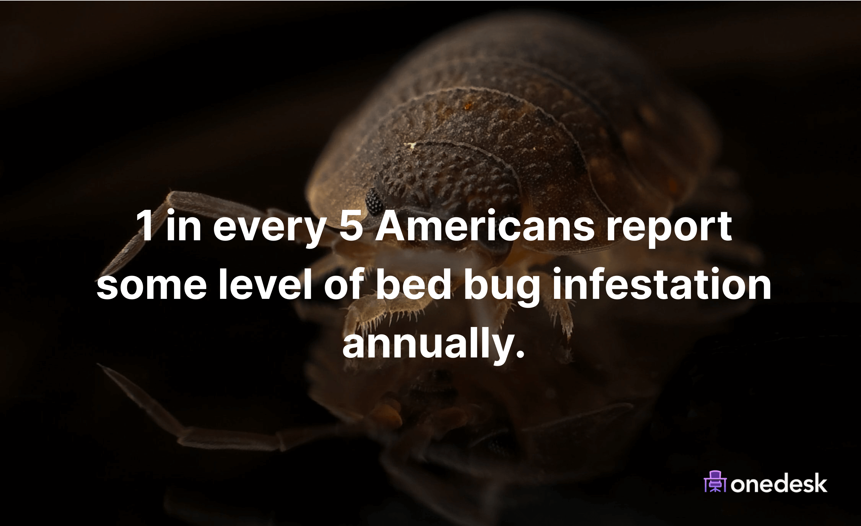 percentage of u.s. homes with bed bugs