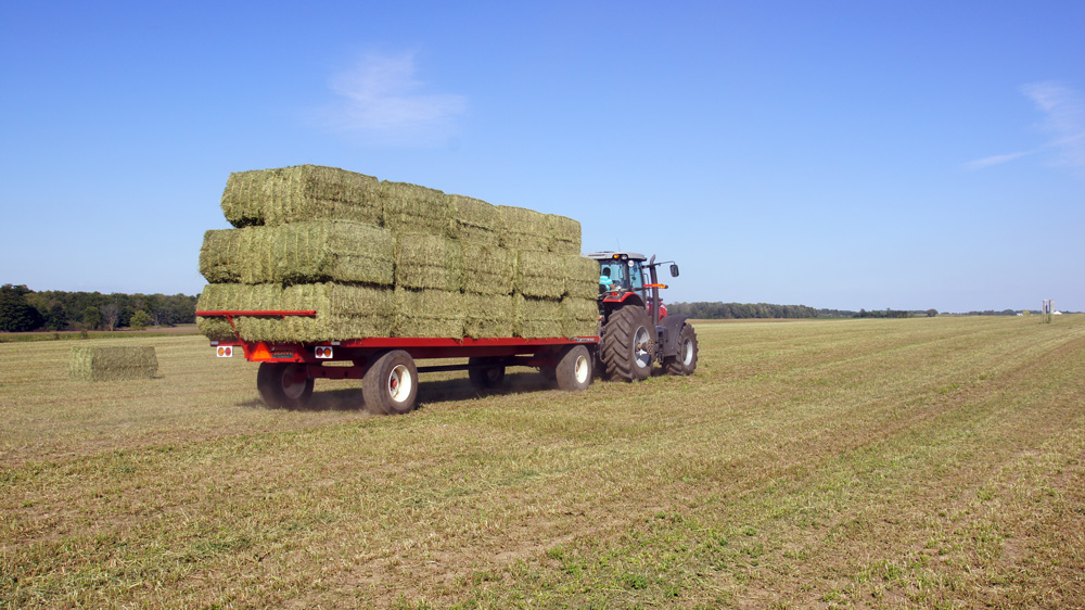 Farm Boss er's Farm Service Elmira